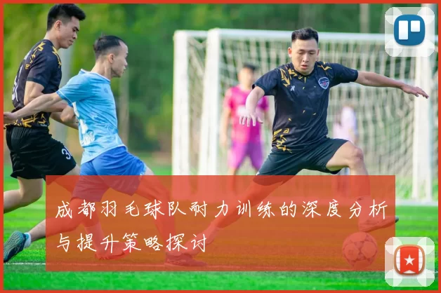 成都羽毛球队耐力训练的深度分析与提升策略探讨