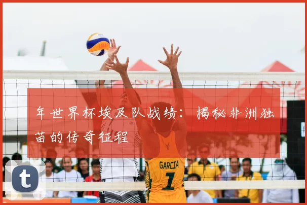 年世界杯埃及队战绩：揭秘非洲独苗的传奇征程