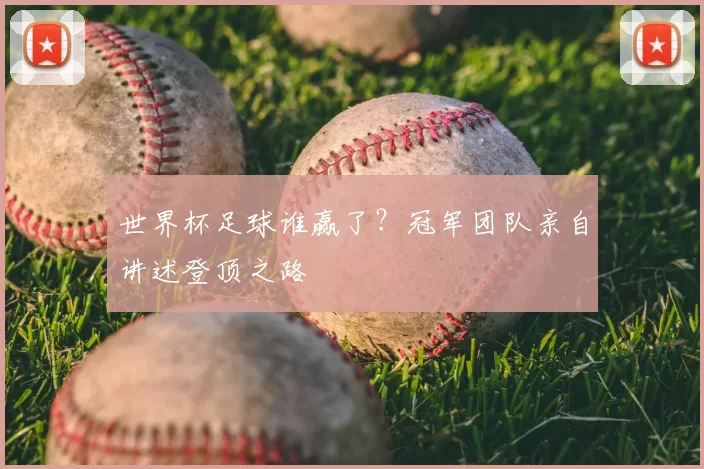 世界杯足球谁赢了？冠军团队亲自讲述登顶之路