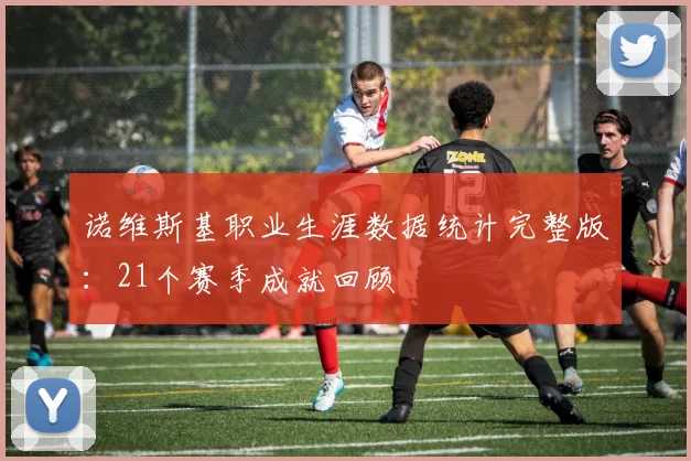 诺维斯基职业生涯数据统计完整版:21个赛季成就回顾