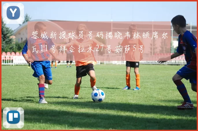 蓉城新援球员号码揭晓韦林顿席尔瓦11号拜合拉木27号茹萨5号