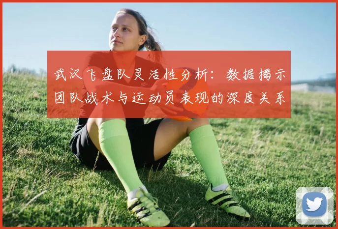 武汉飞盘队灵活性分析:数据揭示团队战术与运动员表现的深度关系
