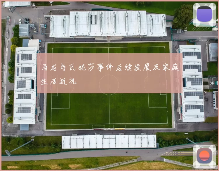 马龙与瓦妮莎事件后续发展及家庭生活近况