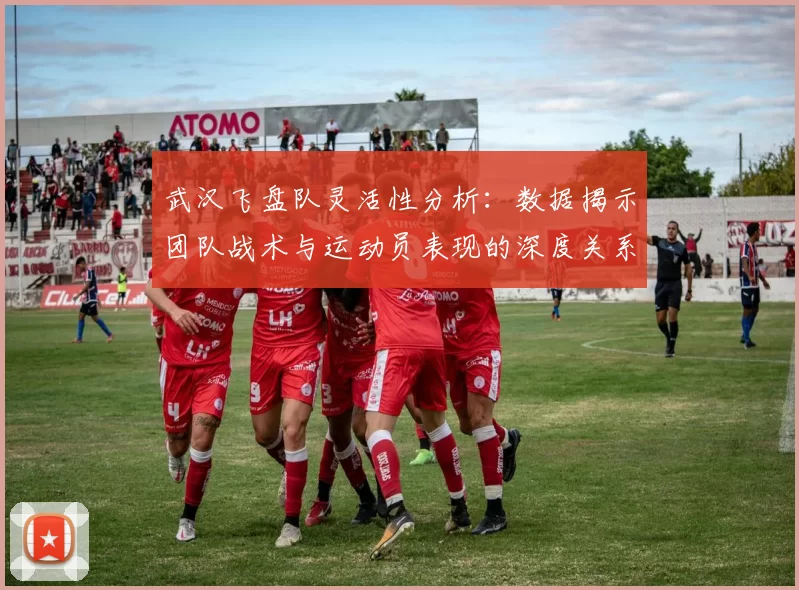 武汉飞盘队灵活性分析:数据揭示团队战术与运动员表现的深度关系