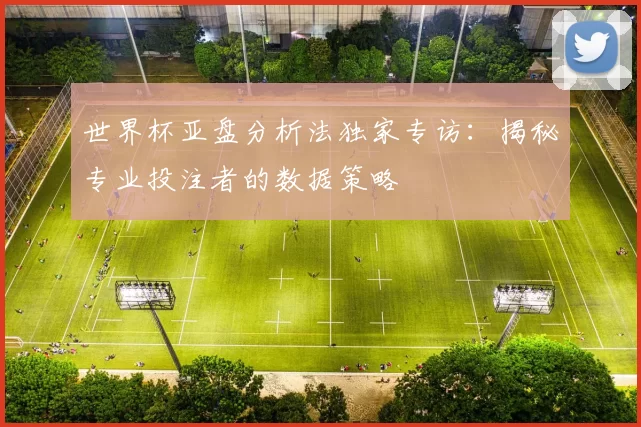 世界杯亚盘分析法独家专访:揭秘专业投注者的数据策略
