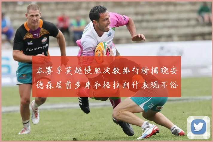本赛季英超侵犯次数排行榜揭晓安德森居首多库和格拉利什表现不俗