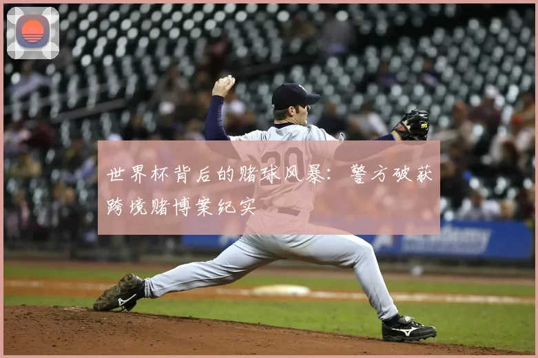 世界杯背后的赌球风暴：警方破获跨境赌博案纪实
